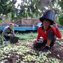 ���������� �����, ���� ������� ����, 45 ���, ������������ ��� ������, ����� � ���������, c�������� ���������, ���������