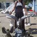 ���������� ���������, ���� ������� �������, 39 ���, ������������ ��� ������