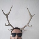 ���������� ���������� �����, ���� ������� ������, 39 ���, ������������ ��� ������, ����� � ���������, c�������� ���������