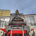 ���������� ������, ���� ������� �������, 38 ���, ������������ ��� ����� � ���������, c�������� ���������