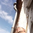 ���������� �����������, ���� ������� �������, 36 ���, ������������ ��� ������, ����� � ���������, c�������� ���������, ���������