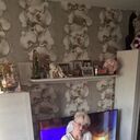 ���������� �������, ���� ������� �����, 56 ���, ������������ ��� c�������� ���������