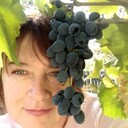 ���������� ������������, ���� ������� �����, 56 ���, ������������ ��� ����� � ���������, c�������� ���������