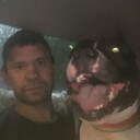 ���������� ������, ���� ������� ���������, 38 ���, ������������ ��� ������, ����� � ���������, c�������� ���������, ���������