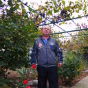  ,   , 43 ,   ,   , c 
