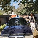 ���������� ����, ���� ������� ���� ���Ȩ�, 65 ���, ������������ ��� ����� � ���������, c�������� ���������, ���������