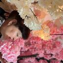 ���������� ��������, ���� ������� �����, 65 ���, ������������ ��� c�������� ���������, ���������