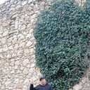  ,   , 48 ,   ,   , c , 