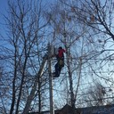 ���������� ������, ���� ������� ������, 34 ����, ������������ ��� ������, ���������