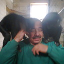   ,   , 56 ,   
