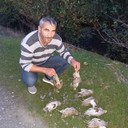  ,   Solomon, 50 ,   ,   , c 