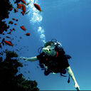 ���������� ��������, ���� ����� ����, 21 ���, ������������ ��� ������, ����� � ���������