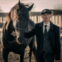 ���������� �����, ���� ������� ������, 26 ���, ������������ ��� ������, ����� � ���������