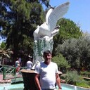 ���������� ����, ���� ������� ������, 42 ����, ������������ ��� ������, ����� � ���������