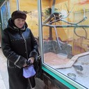 ���������� ����, ���� ������� ������, 60 ���, ������������ ��� ������, ����� � ���������, c�������� ���������