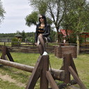  ,   , 43 ,  