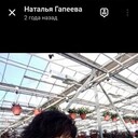 ���������� ������, ���� ������� �������, 54 ����, ������������ ��� c�������� ���������