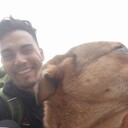 ���������� ������, ���� ������� ������, 39 ���, ������������ ��� ������, ����� � ���������, c�������� ���������