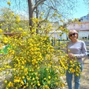 ���������� �����������, ���� ������� ��������, 55 ���, ������������ ��� ������, ����� � ���������, c�������� ���������