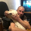 ���������� �������, ���� ������� �����, 43 ����, ������������ ��� ������, ����� � ���������, c�������� ���������