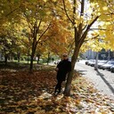 ���������� �����, ���� ������� �������, 55 ���, ������������ ��� c�������� ���������