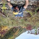 ���������� �����������, ���� ������� ����, 40 ���, ������������ ��� ������, ����� � ���������, c�������� ���������, ���������