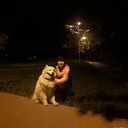 ���������� ������, ���� ������� ����, 37 ���, ������������ ��� ����� � ���������, c�������� ���������