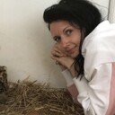 ���������� ������, ���� ������� �������, 38 ���, ������������ ��� ����� � ���������, c�������� ���������