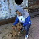  ,   , 54 ,   