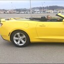 ���������� ����, ���� ������� �����, 42 ����, ������������ ��� ������, ����� � ���������, c�������� ���������