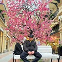 ,   , 30 ,   ,   