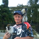  ,   , 55 ,  