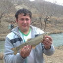  ,   Nizam, 40 ,   ,   , c 