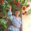 ���������� �����������, ���� ������� ���������, 43 ����, ������������ ��� ������, ����� � ���������, c�������� ���������