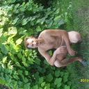  ,   , 54 ,   ,   , c , 