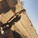  ,   Elena, 49 ,   ,   , c 