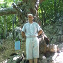  ,   , 51 ,     , c 