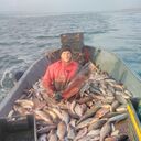 ���������� ������, ���� ������� �������, 48 ���, ������������ ��� ������, ����� � ���������, c�������� ���������