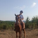 ���������� �����������, ���� ������� �������, 50 ���, ������������ ��� c�������� ���������