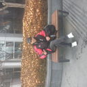  ,   Alisher, 46 ,   