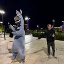 ���������� ���������-�������, ���� ������� �������, 33 ����, ������������ ��� ������, ����� � ���������, c�������� ���������