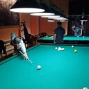 ���������� ������, ���� ������� �������, 40 ���, ������������ ��� ������, ����� � ���������