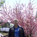  --,   , 44 ,   