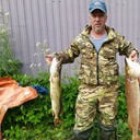 ���������� ���������, ���� ������� ����, 50 ���, ������������ ��� ������, ����� � ���������