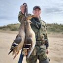 ���������� ������, ���� ������� ����, 37 ���, ������������ ��� ������, ����� � ���������, c�������� ���������