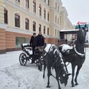  --,   , 38 ,   ,   , c , 