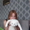 ���������� �����, ���� ������� ����, 40 ���, ������������ ��� ������, ����� � ���������, c�������� ���������