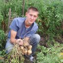 ���������� ������, ���� ������� Sergius, 36 ���, ������������ ��� ������