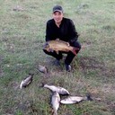 ���������� �������, ���� ������� ���������, 38 ���, ������������ ��� ������, ����� � ���������, c�������� ���������