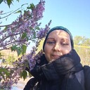 ���������� ������, ���� ������� �����, 43 ����, ������������ ��� ����� � ���������